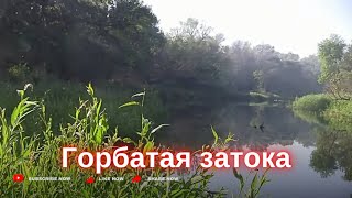 Горбатая затока (протока)ДОМАХА в нерест . 10 мая 24г.Запорожье