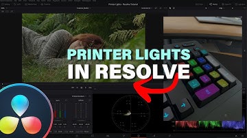 Grading with Printer Lights in Resolve