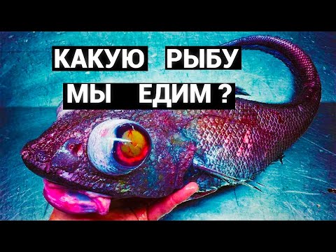 Насколько опасна рыба, которую мы едим. Загрязнение океана и его последствия.