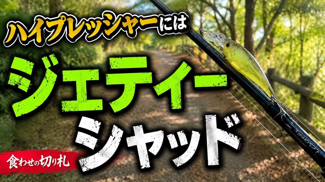【バス釣り】最終的にはジェティーシャッド🥰