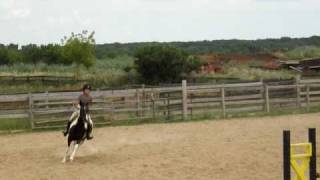 Gidget.AVI
