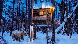 BEAR attacked my treehouse — Life in the Forest 1 year