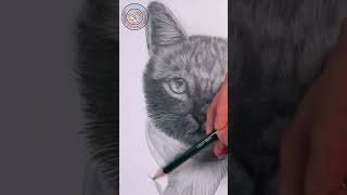 HOW TO DRAW A CAT USING SOFT & HARD CHARCOAL PENCIL ✏️ #  short screenshot 4