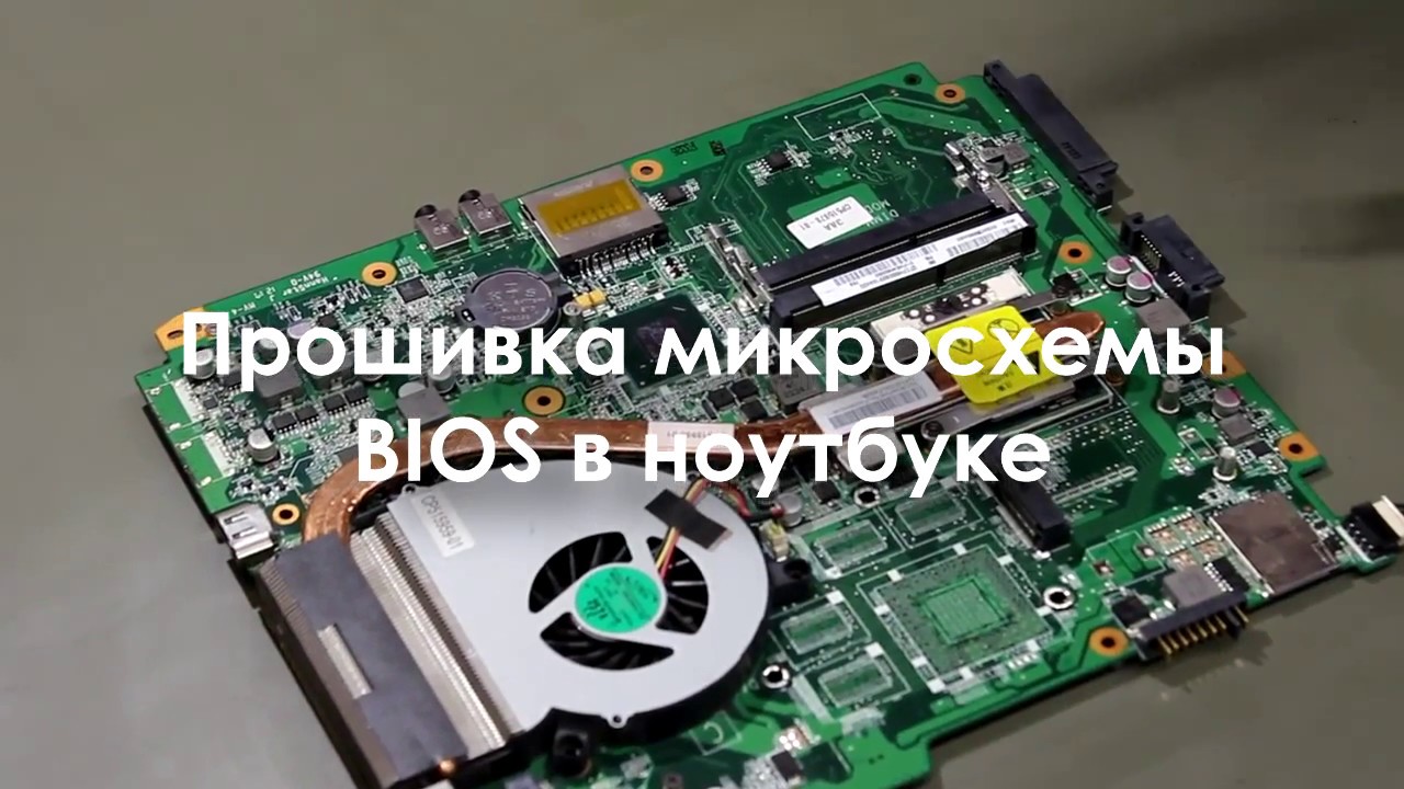 Сколько Стоит Прошить Ноутбук – Telegraph