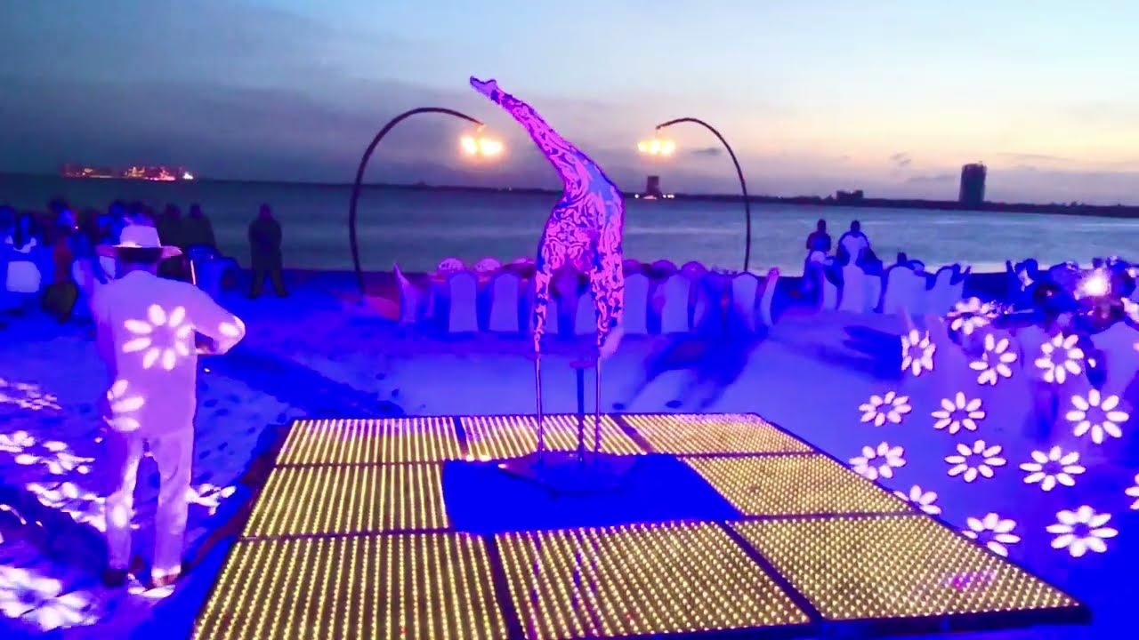 Luxury Violin Show in Riviera Maya | Tempo Consulting Event Entertainment