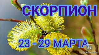 СКОРПИОН. ТАРО ПРОГНОЗ НА НЕДЕЛЮ С 23 ПО 29 МАРТА.