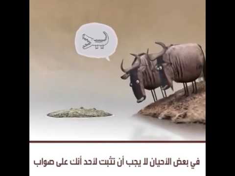 في بعض الاحيان لا يجب أن تثبت لأحد أنك علي صواب بشير حمود