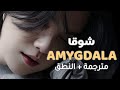 Suga AMYGDALA MV Arabic Sub مترجمة مع النطق اللوزة الدماغية 