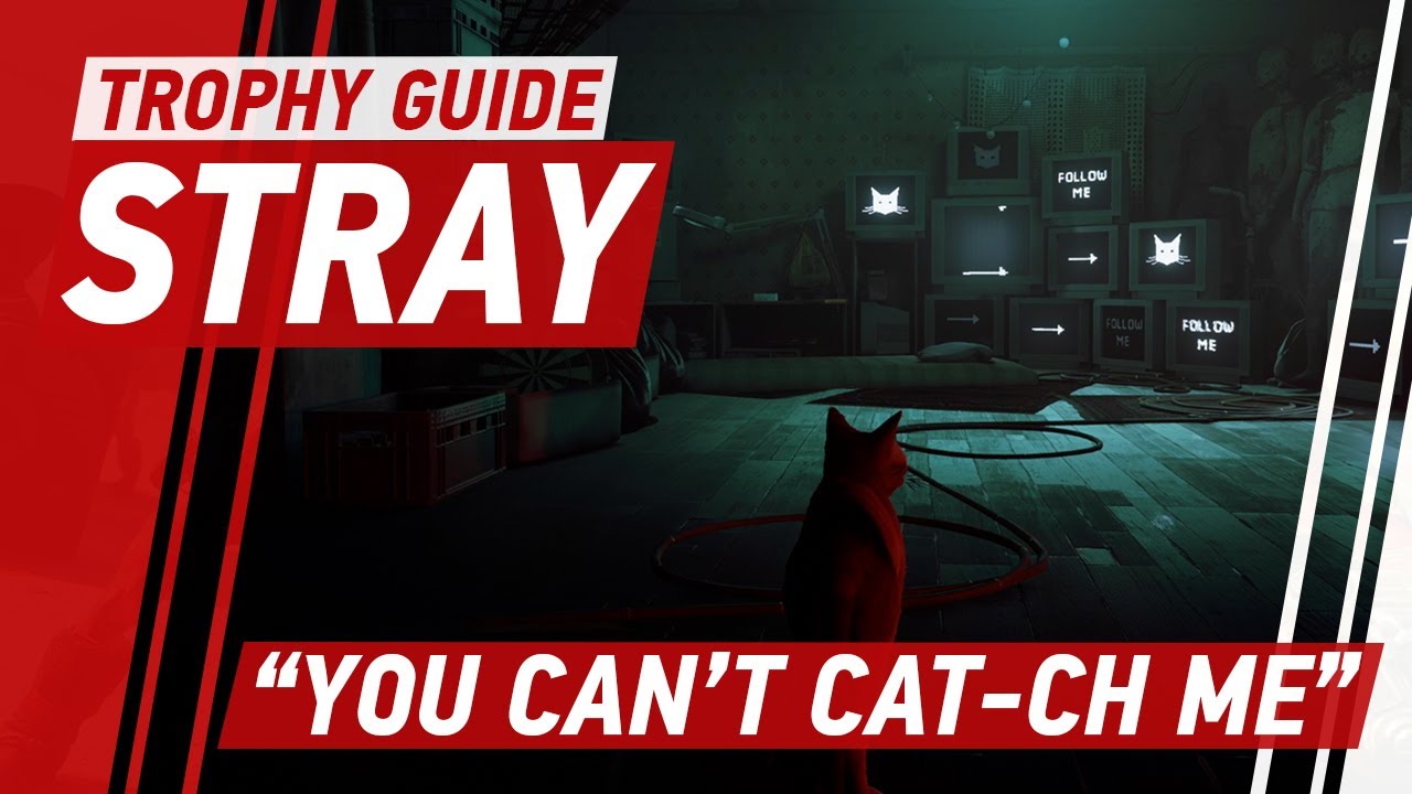 Stray The Slums Trophy Guide