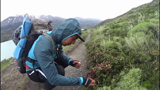 Travesía Torres Del Paine, Sendero Campamento Serón A Campamento Son 39 03.12.2017