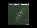Muddy Waters I Just Want To Make Love To You 432Hz Lyrics In Description mp3