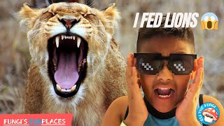 😱 FEEDING LIONS & TIGERS Up Close in Bali! 🦁🐯 | The MOST WILD thing to do in Bali with Kids 