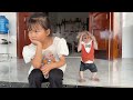 Monkey sinsin and his sister were sad when they had to leave their dad