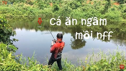 Săn Lóc Bằng Mồi Mềm NFF, Poke 45, Dấu Hiệu Nhận Biết Cá Ăn ngầm | Câu Cá Lóc Tự Nhiên