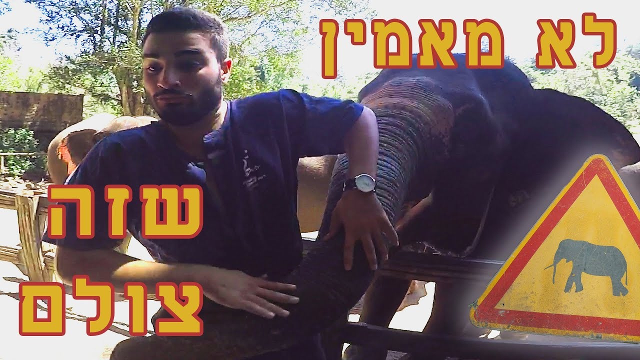 חוות פילים בתאילנד - תקף אותו פיל ! - ולוג #25 - YouTube