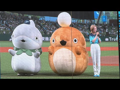 アニメ『おでかけ子ザメ』  あんこうちゃん役 声優・潘めぐみさんセレモニアルピッチ【西武3-1日本ハム】2026/8/25