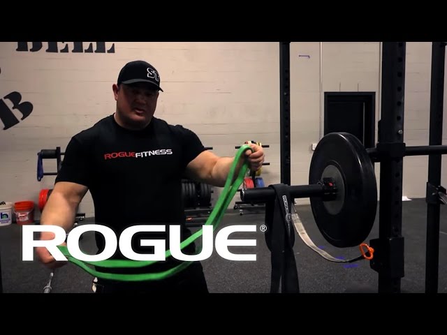 Rogue Monster Bands - 41 Mobility Bands