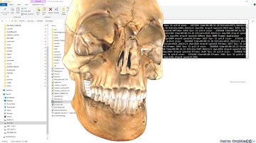 Using ffmpeg desktop grab as background for better transparante pixels at edge 3d object