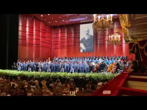'Сбирались птицы' Детский