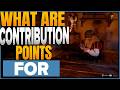 Understanding Contribution Points In Crimson Desert 