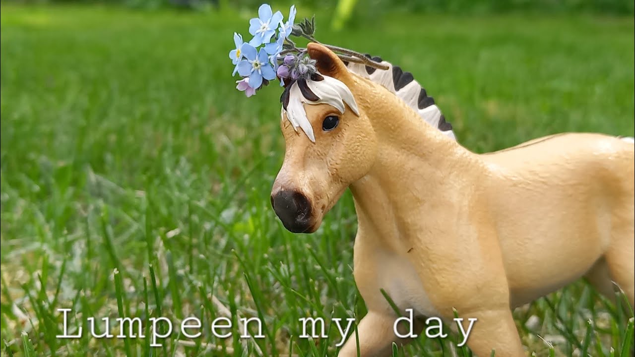 Lumpeen my day 🐴🪷