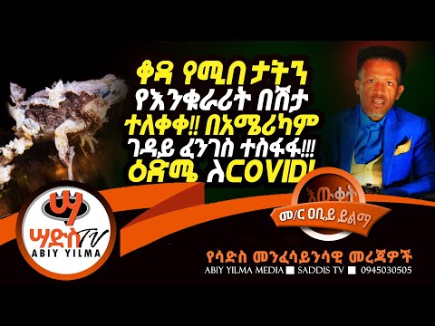 ቪዲዮ: የድንቅ ምልክቶች በአቢይ መሆን አለባቸው?