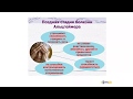 Для чего нужны БАД, преимущества Agenyz, как повысить эффективность при приеме