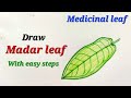 Madar leaf drawing easy, Medicinal leaf drawing, DrawCalotropis gigentea leaf# मदार की पत्ती