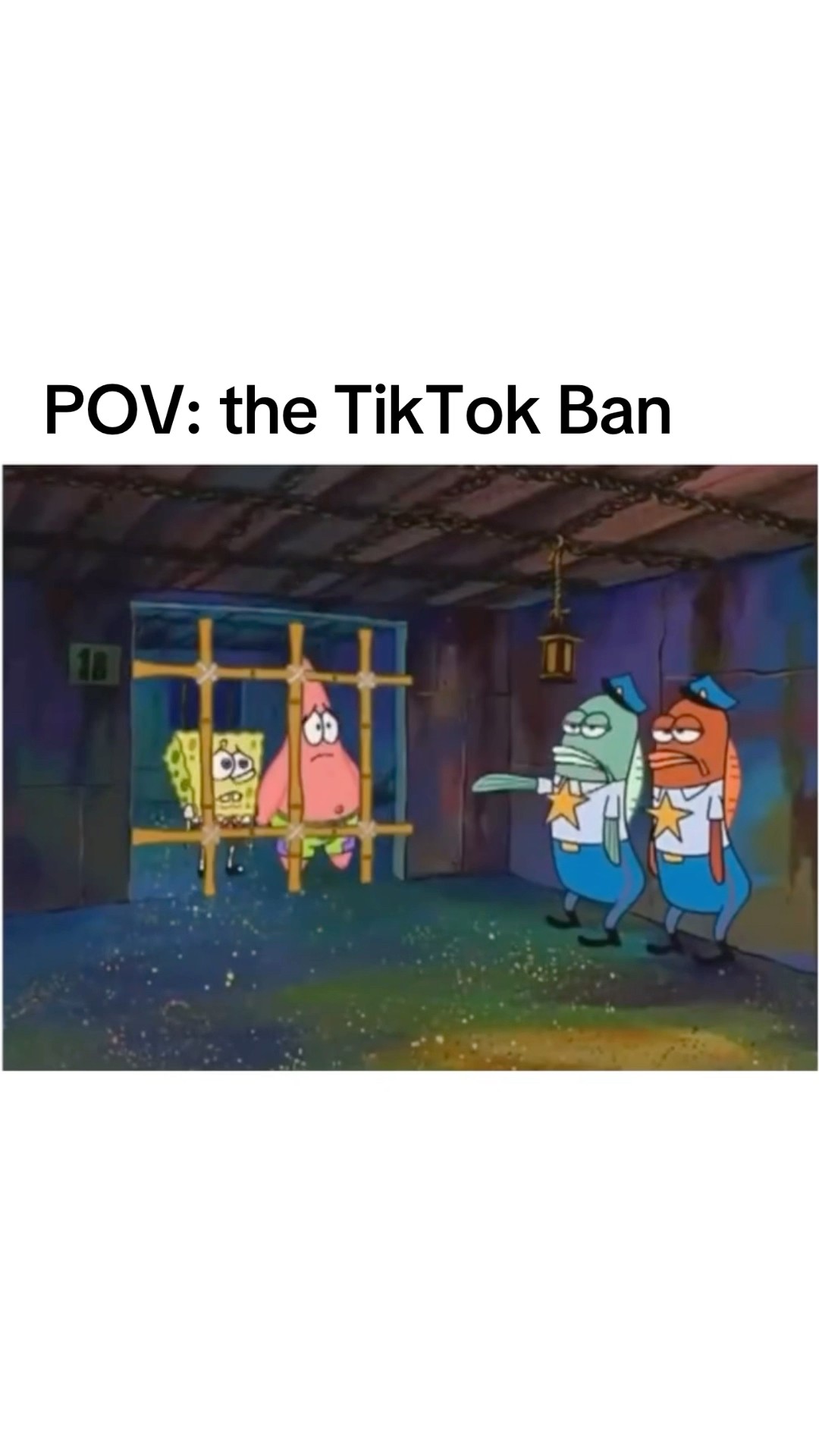 POV: The TikTok BAN #TheManniiShow.com/series