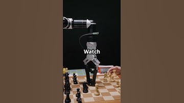 If chess bots were actual robots! #chess #chessbot #robot