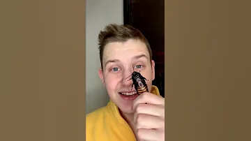 Каток для таракана