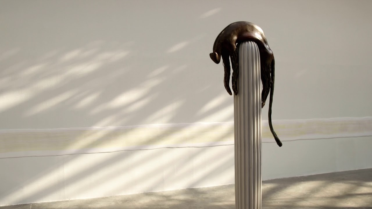 Carte Blanche à Camille Henrot - Monday