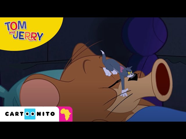 Tom and Jerry: Tiny Tom | Cartoonito Africa class=