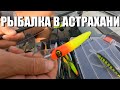 Троллинг в Астрахани. Волга
рыбалка