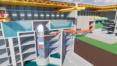 The Most Used Nuclear Reactors: PWR and BWR