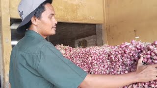 Download Lagu RABU, 22/10/2025, HARGA BAWANG MERAH HARI INI DIPASAR BAWANG PROBOLINGGO MP3 Download Lagu RABU, 22/10/2025, HARGA BAWANG MERAH HARI INI DIPASAR BAWANG PROBOLINGGO MP3