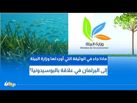 What did the Ministry of Environment's document to Parliament regarding Posidonia say?