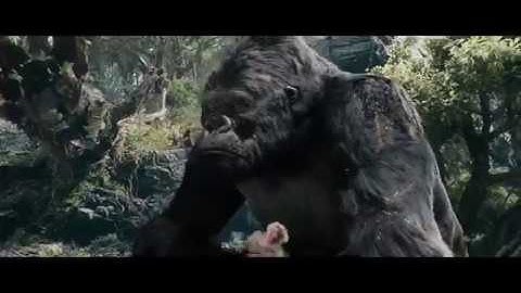King Kong vs 3 T-Rexes but with Ed, Edd, n Eddy sound effects
