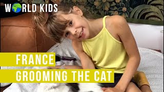 Grooming the cat | A film by Oda | Paris | France | WorldKids.tv