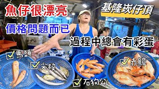 基隆崁仔頂魚仔真漂亮價格問題而已拍賣中總會有驚喜彩蛋馬頭、赤鱆、尖梭、石狗公元源魚行拍賣