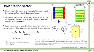 Polarization Vector