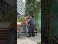 FK - Protected The Girl Just In Time [FEELKIND] #feelkind #kindness #respect #help