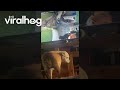 Dog Barks At Herself In Camera || ViralHog