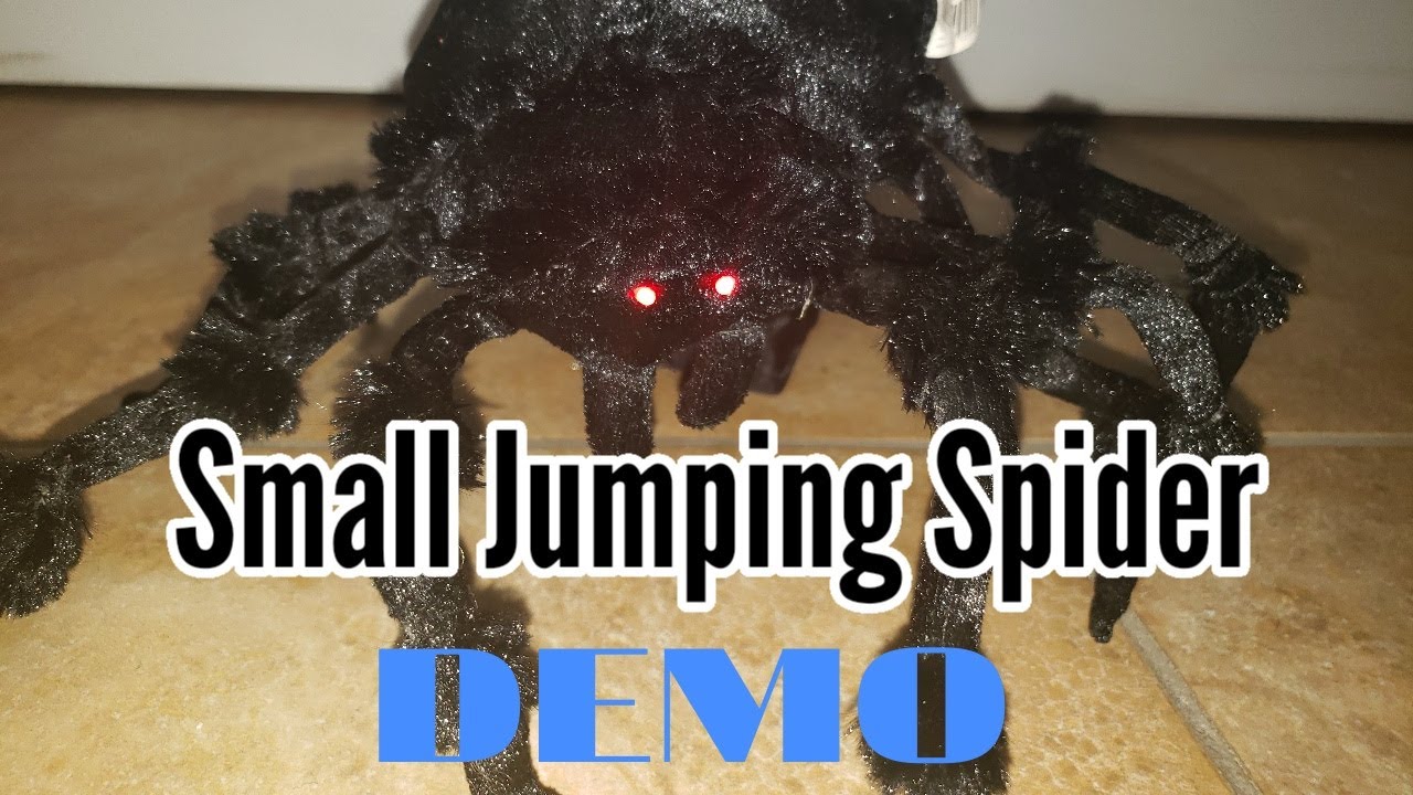 [Spirit Halloween] Small tabletop Jumping Spider YouTube