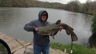 Catfishing with cut bait from the bank