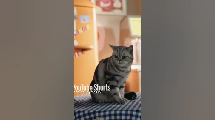 Watch the video about "Cat funny moment 😂🐾Watch how this cat reacts and literally flies away!#Shorts #FunnyCat #CatVideo