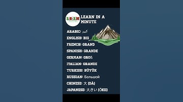 Learn How to Say Different word every day in 10 Languages – Quick & Easy! 🌍✨