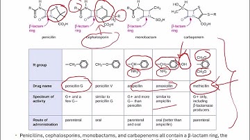 Openstax Micro Ch. 14 Video Part 02 - Sections 14.3a