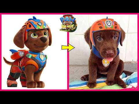 PAW Patrol 2026 In Real Life