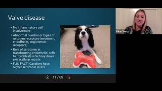 Valvular Disease in Dogs - Dr. Kiira Rodriguez